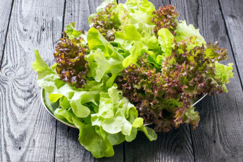 prizehead lettuce salad