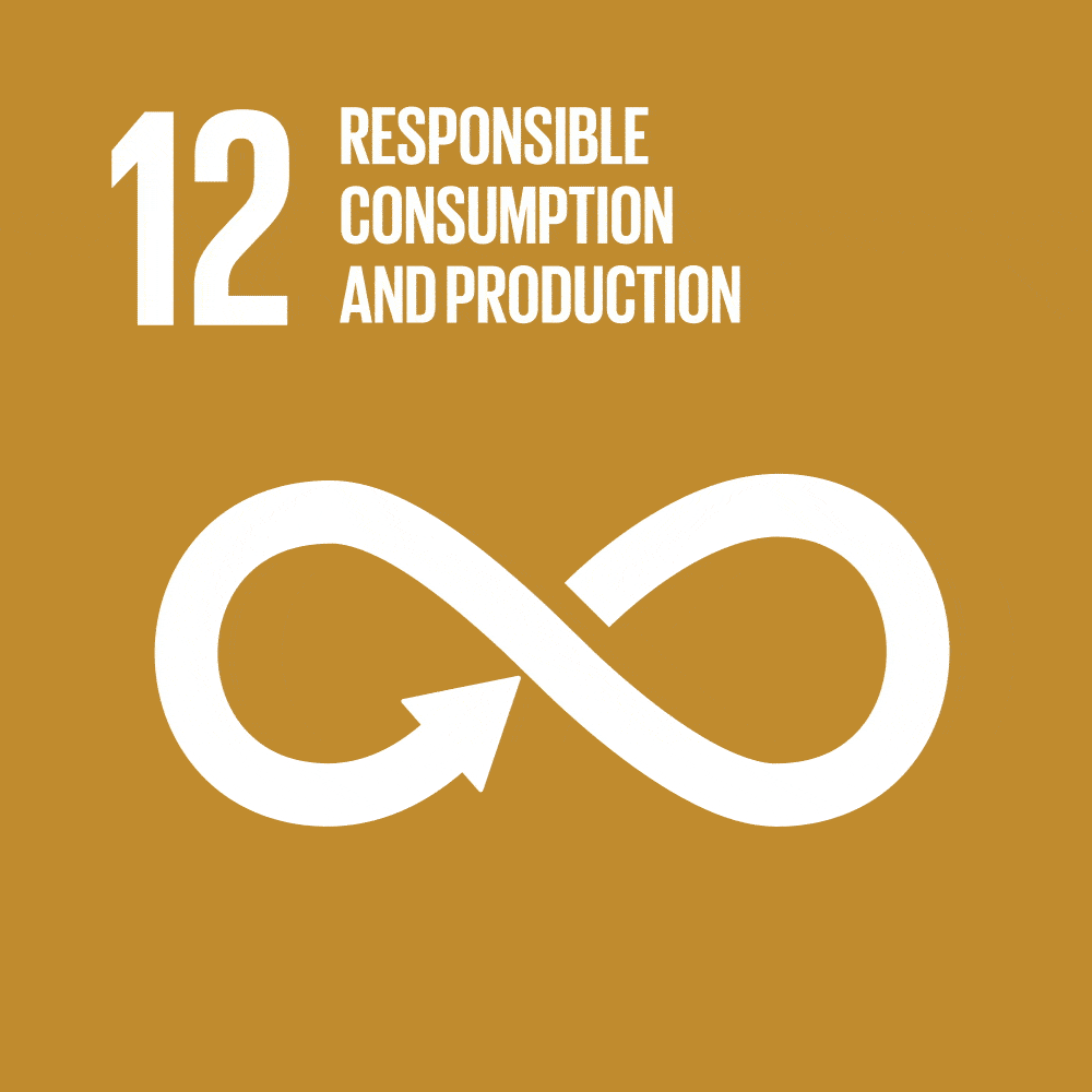 SDG #12 responsible consumption and production