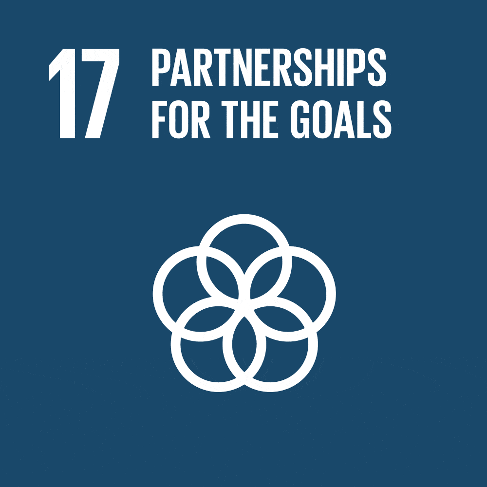 SDG #17 partnership for the goals